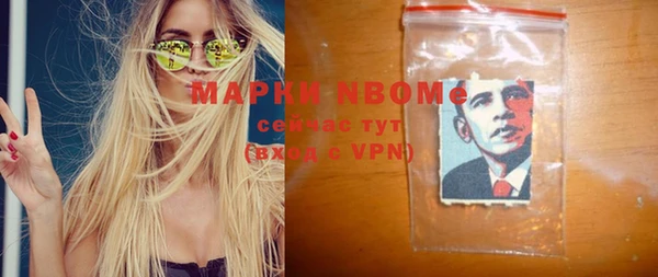 прущие грибы Михайловка