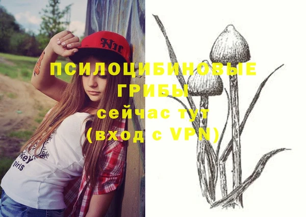 СК Нефтекумск