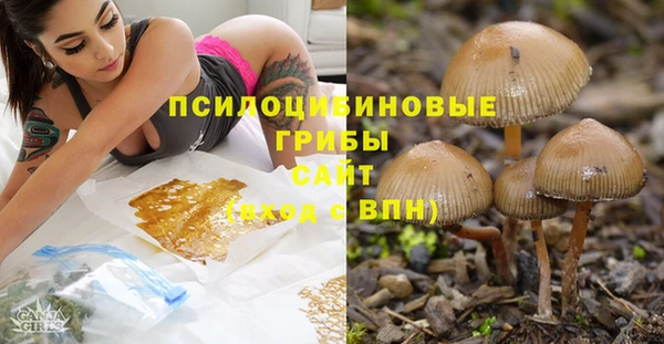 СК Нефтекумск