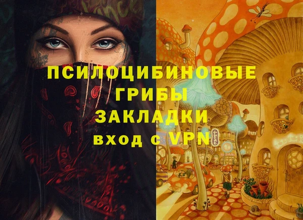 ECSTASY Билибино